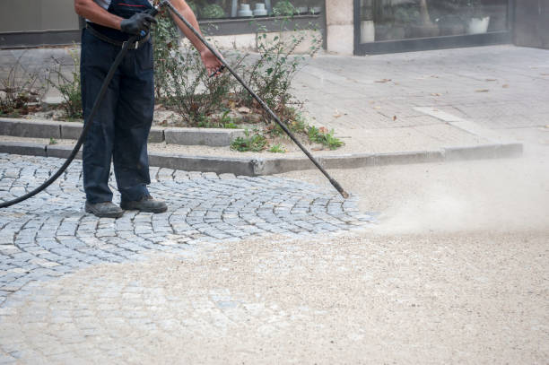 Best Pre-Holiday Cleaning  in Ferguson, MO
