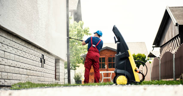 Best Gutter Cleaning  in Ferguson, MO